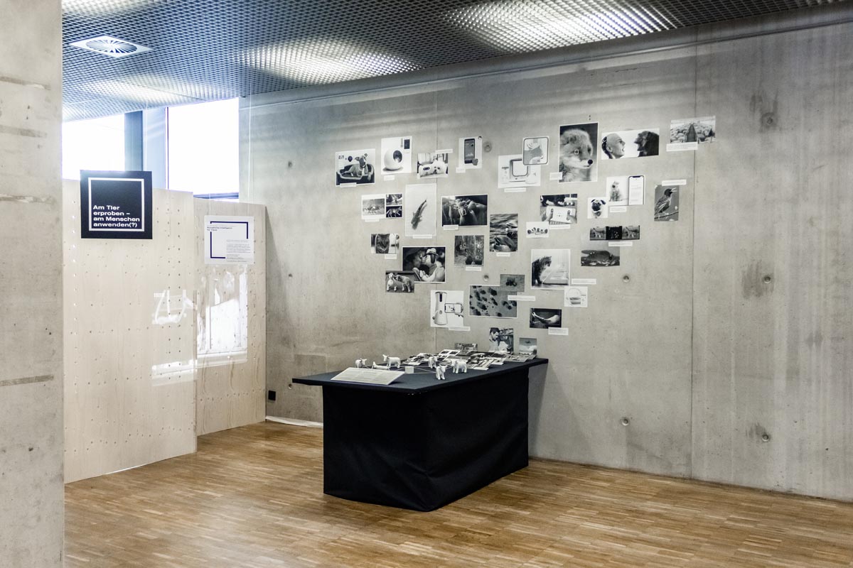 KIundTiere_WinterWerkschau_2020-8